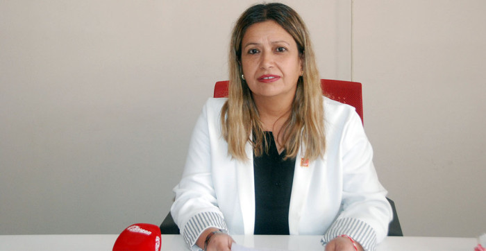 Akşehir CHP Kadınlara Çiçek Dağıttı