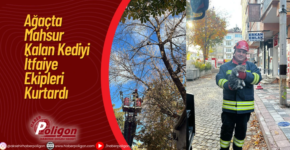 Ağaçta Mahsur Kalan Kediyi İtfaiye Ekipleri Kurtardı