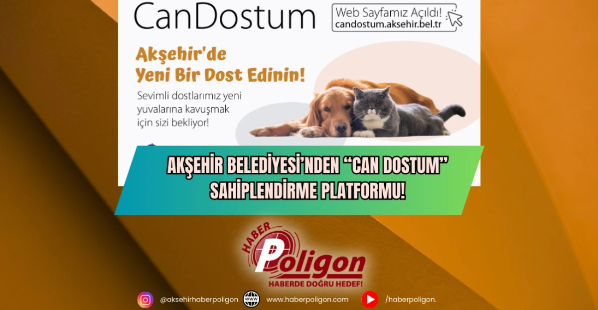 Akşehir Belediyesi’nden “Can Dostum” Sahiplendirme Platformu!