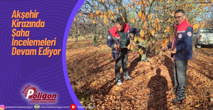Akşehir Kirazında Saha İncelemeleri Devam Ediyor
