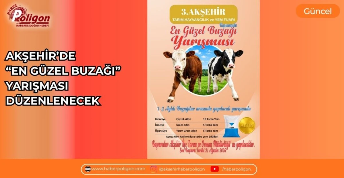 AKŞEHİR&rsquo;DE &ldquo;EN G&Uuml;ZEL BUZAĞI&rdquo; YARIŞMASI D&Uuml;ZENLENECEK
