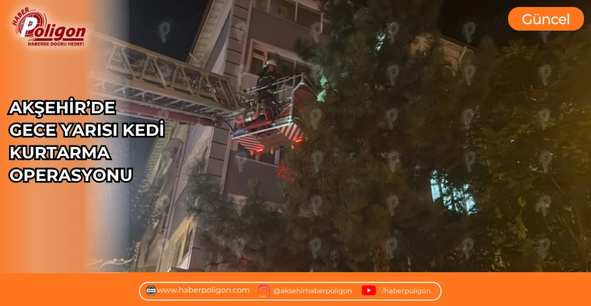 AKŞEHİR&rsquo;DE GECE YARISI KEDİ KURTARMA OPERASYONU
