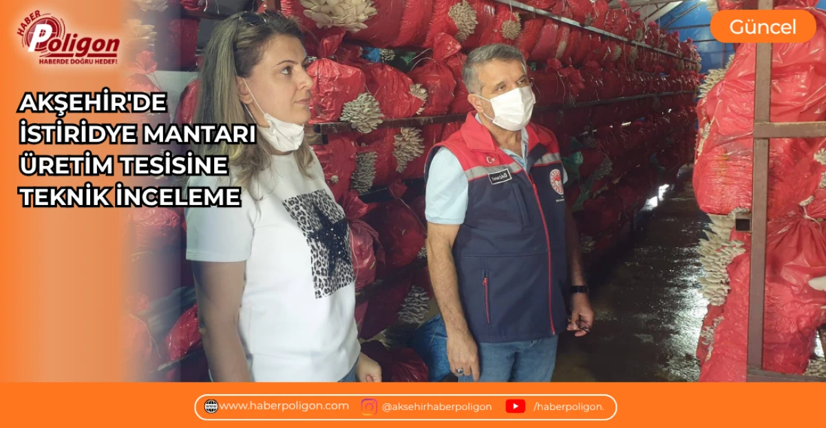 AKŞEHİR'DE İSTİRİDYE MANTARI &Uuml;RETİM TESİSİNE TEKNİK İNCELEME