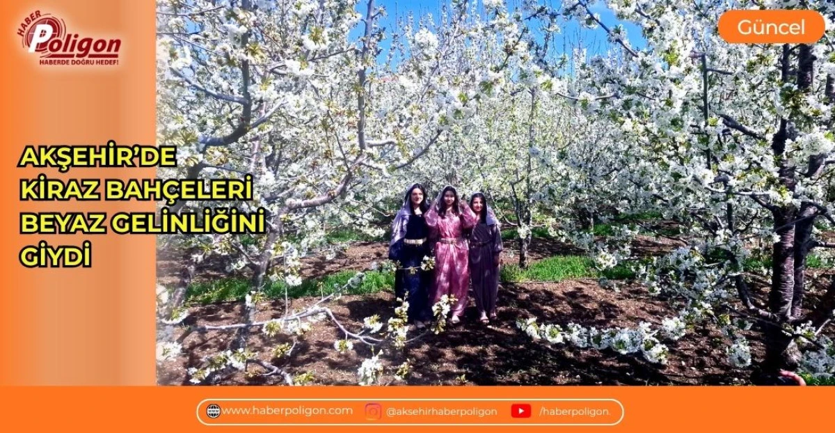 AKŞEHİR&rsquo;DE KİRAZ BAH&Ccedil;ELERİ BEYAZ GELİNLİĞİNİ GİYDİ