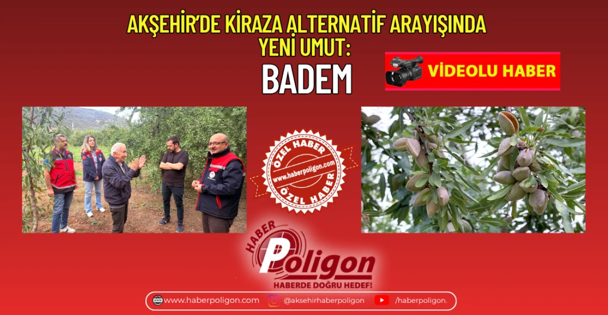 AKŞEHİR&rsquo;DE KİRAZA ALTERNATİF ARAYIŞINDA YENİ UMUT: BADEM