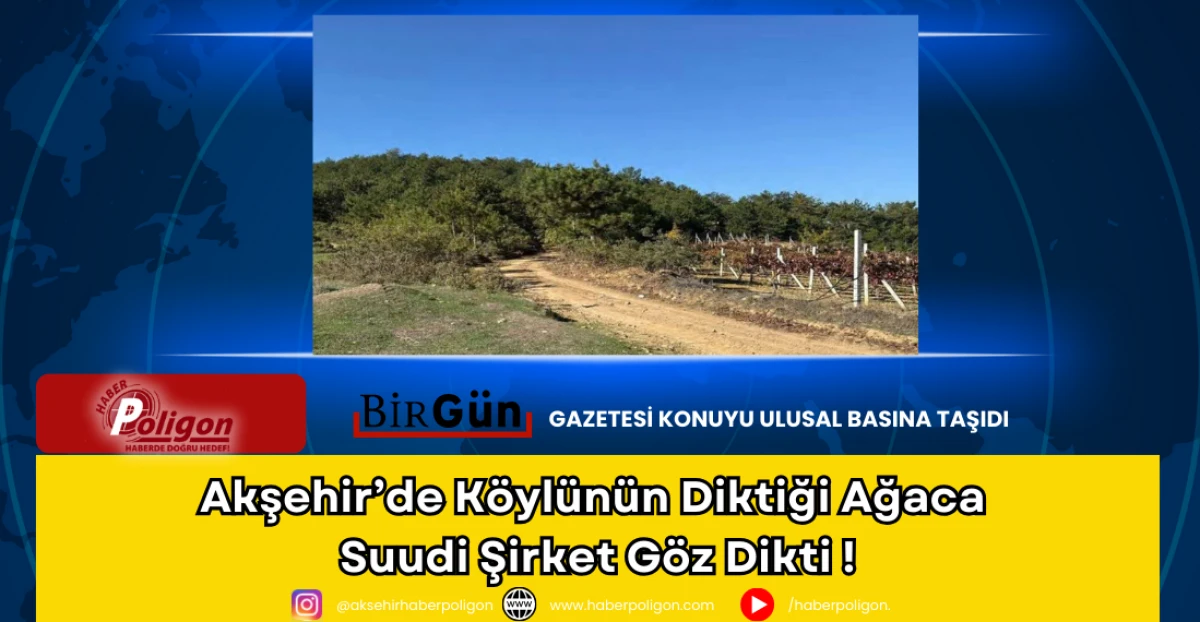 Akşehir&rsquo;de K&ouml;yl&uuml;n&uuml;n Diktiği Ağaca Suudi Şirket G&ouml;z Dikti