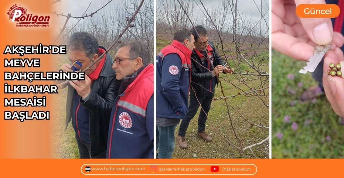 AKŞEHİR&rsquo;DE MEYVE BAH&Ccedil;ELERİNDE İLKBAHAR MESAİSİ BAŞLADI