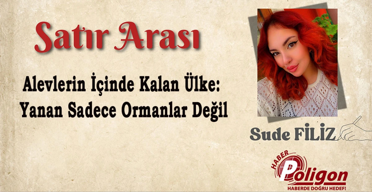 Alevlerin İçinde Kalan Ülke: Yanan Sadece Ormanlar Değil