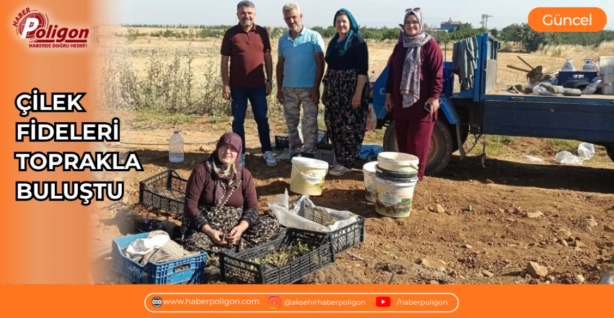 &Ccedil;İLEK FİDELERİ TOPRAKLA BULUŞTU