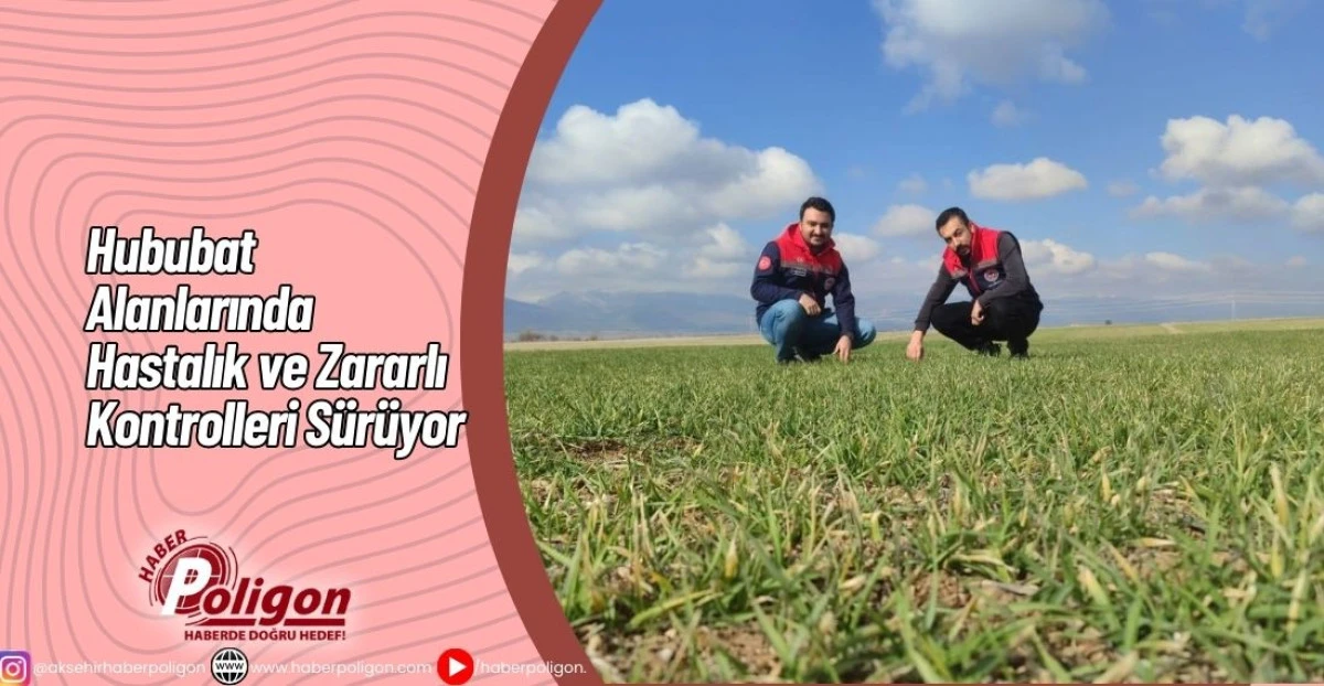 Hububat Alanlarında Hastalık ve Zararlı Kontrolleri S&uuml;r&uuml;yor