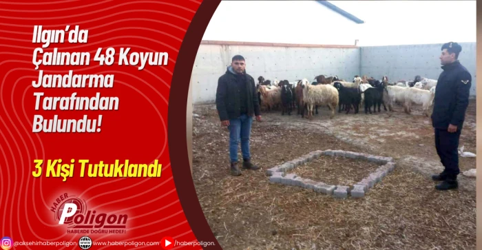 Ilgın&rsquo;da &Ccedil;alınan 48 Koyun Jandarma Tarafından Bulundu! 3 Kişi Tutuklandı