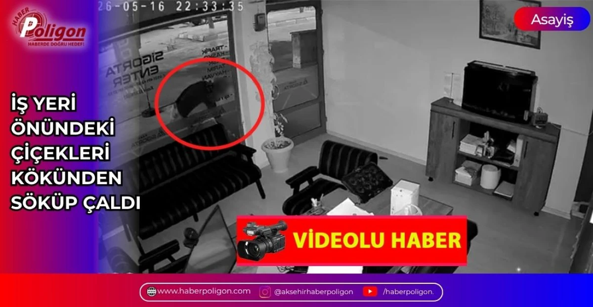 İŞ YERİ &Ouml;N&Uuml;NDEKİ &Ccedil;İ&Ccedil;EKLERİ K&Ouml;K&Uuml;NDEN S&Ouml;K&Uuml;P &Ccedil;ALDI