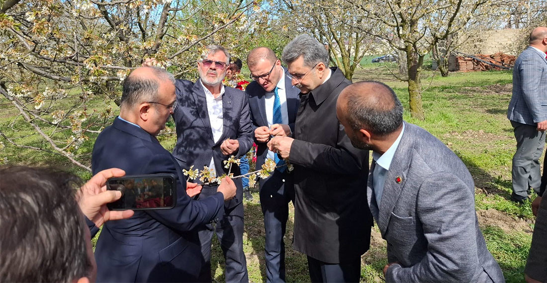 Milletvekili Erdem Akşehir’de Zirai Don İle İlgili İncelemelerde Bulundu 