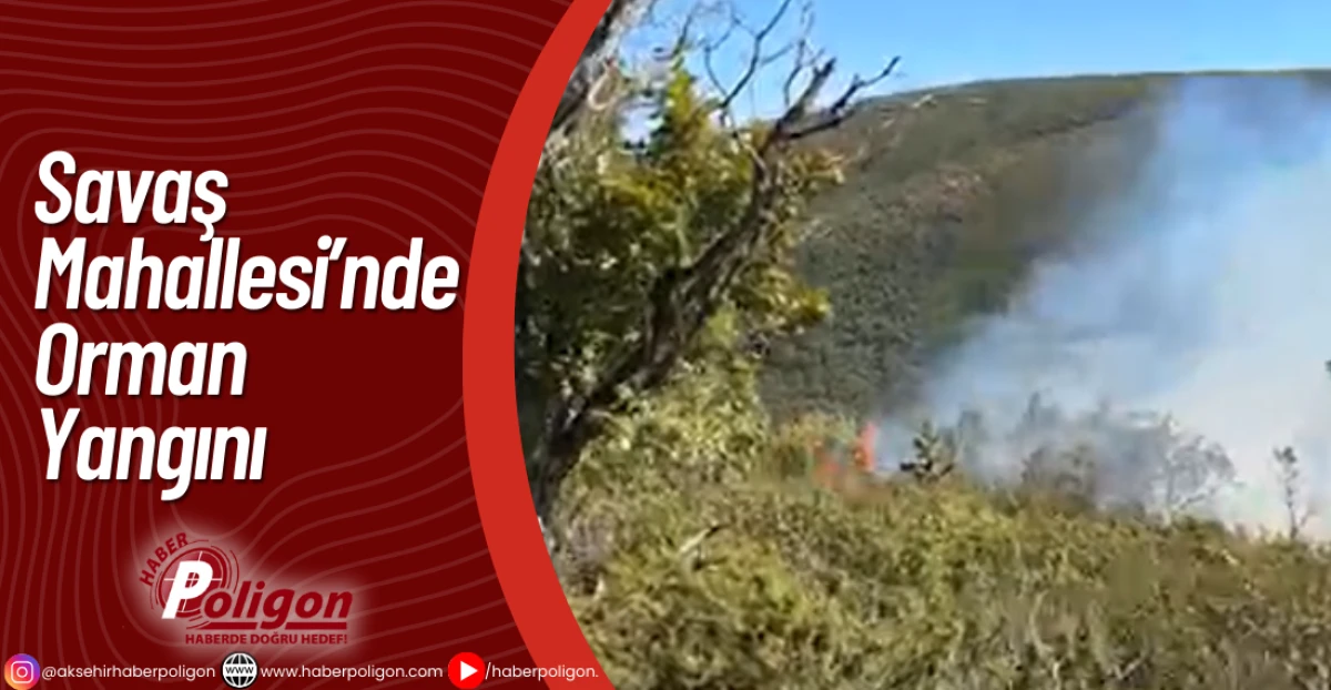 Savaş Mahallesi’nde Orman Yangını