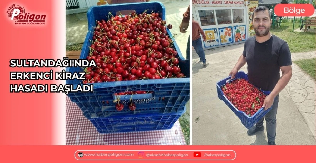 SULTANDAĞI'NDA ERKENCİ KİRAZ HASADI BAŞLADI