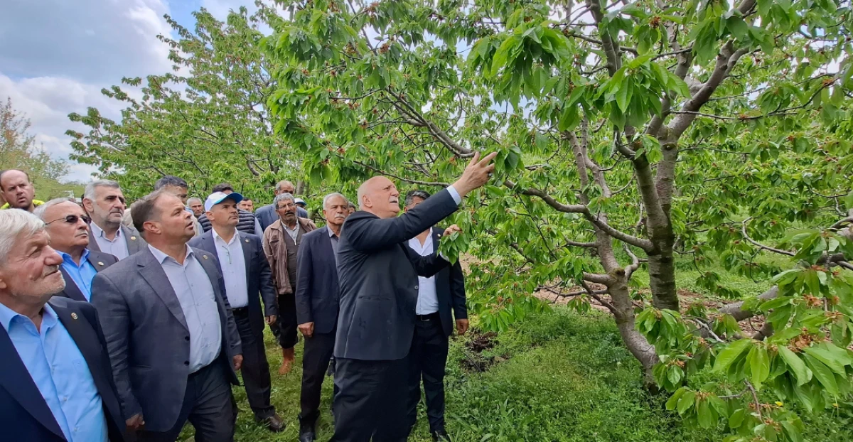TZOB Genel Başkanı Bayraktar: Çiftçimizin Emeği Bir Gecede Yok Oldu