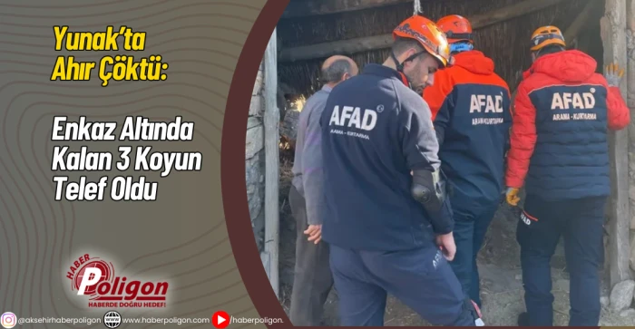 Yunak&rsquo;ta Ahır &Ccedil;&ouml;kt&uuml;: Enkaz Altında Kalan 3 Koyun Telef Oldu