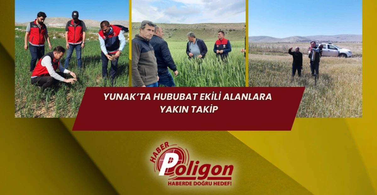 Yunak’ta Hububat Ekili Alanlara Yakın Takip