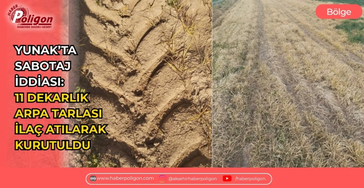 YUNAK&rsquo;TA SABOTAJ İDDİASI: 11 DEKARLIK ARPA TARLASI KURUTULDU